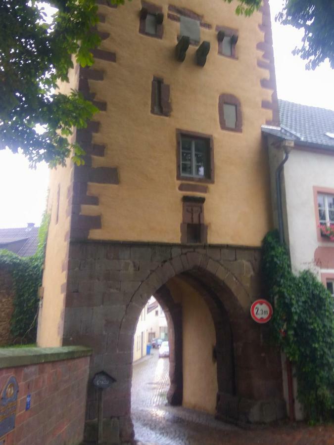 Living-In-History: Heidi Braun Cottage Dudeldorf Exterior photo